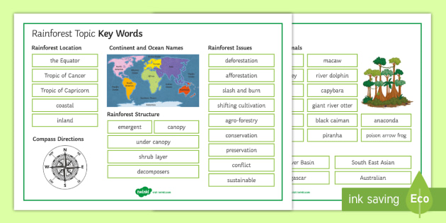rainforests topic key words mat secondary geography rainforests topic key words mat secondary geography rainforests key words topic