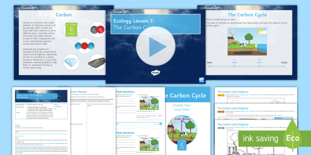 AQA GCSE Ecology: The Carbon Cycle