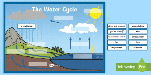 FREE Label The Water Cycle Worksheet teacher Made 
