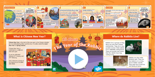 All About Rabbits Chinese New Year PowerPoint and Fact Files Pack