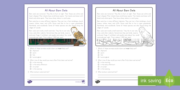 Differentiated reading for comprehension grade 2 common core state standards