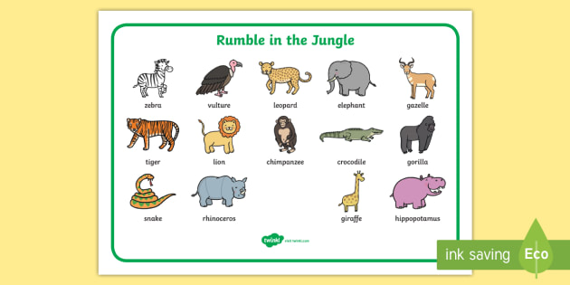 Word Mat (Images) to Support Teaching on Rumble in the Jungle