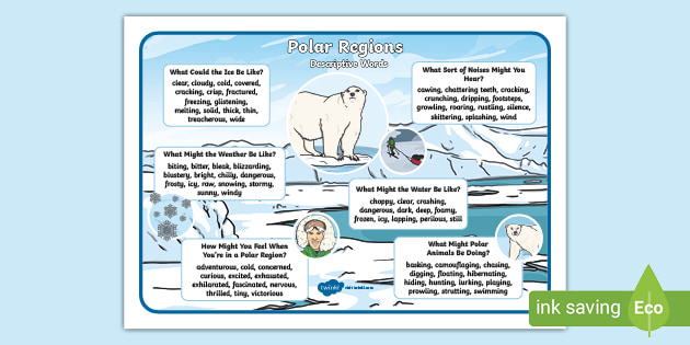 KS1 Polar Regions Descriptive Word Mat (teacher made)