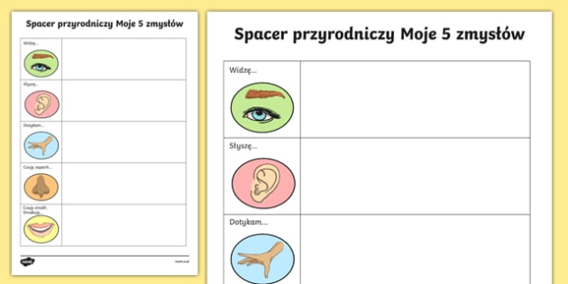 Five Senses Field Walk Worksheet / Worksheet Polish-Australia, worksheet