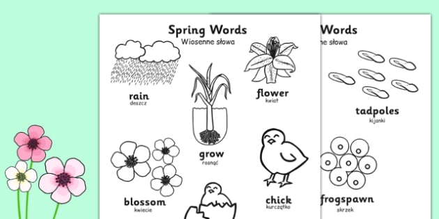 spring words coloring sheets polish translation