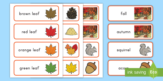 Fall Word Cards - autumn, autumn word cards, leaves, apples