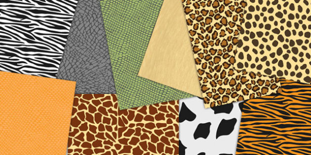 Animal Skin Patterned A4 Sheets (Teacher-Made) - Twinkl