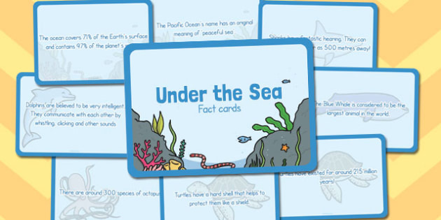 Under The Sea Facts EYFS - Early Years Geography - Twinkl