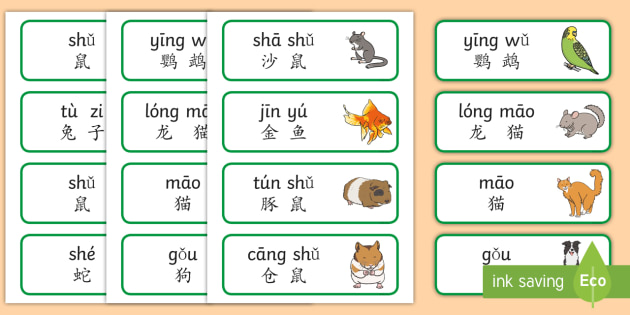 宠物主题词汇卡片(拼音) - 宠物,动物,猫,狗,兔子,鼠,词汇卡片,拼音