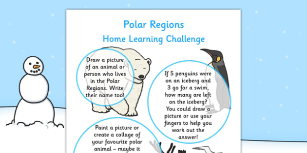 Arctic wildlife picture