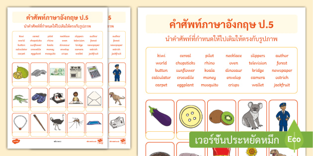 แบบฝึกหัดคำศัพท์ภาษาอังกฤษ ป.5 - Vocabulary Worksheet