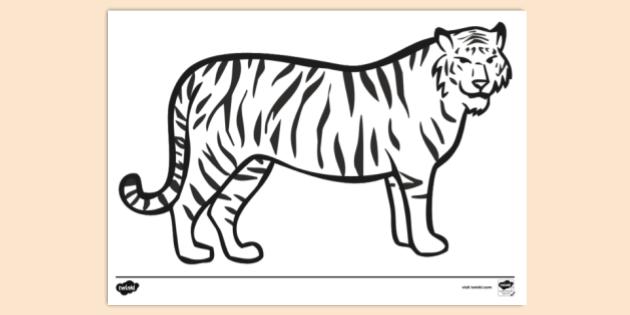 3D Model: Mammals - Tiger (Teacher-Made) - Twinkl