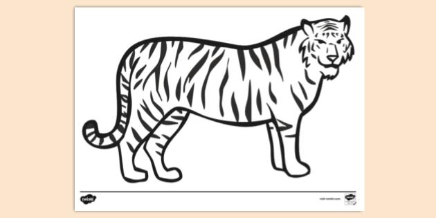 Bengal Tiger Printout