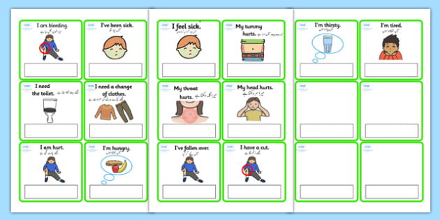 eal emergencies editable cards with english urdu translation