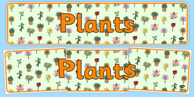 Free Plants Display Banner Teacher Made