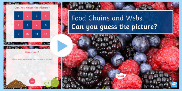 Food Chains Quiz teacher made Biology Diagrams