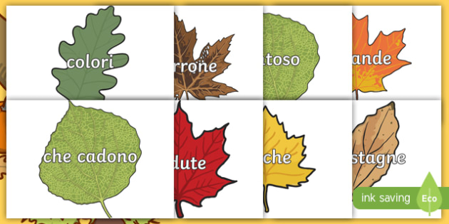 Parole Autunnali Sulle Foglie Colorate Teacher Made