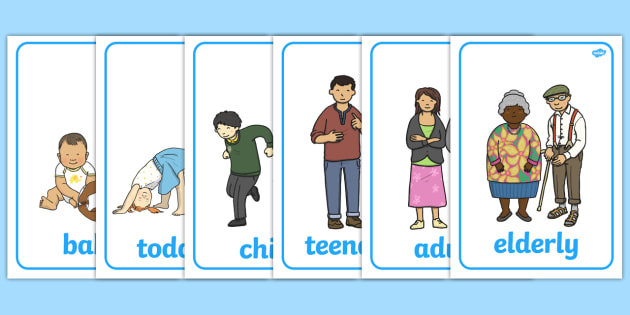 How many persons. Human Life Cycle Stages. Stages of Life. Stages of Life in English. Growing up Stages.