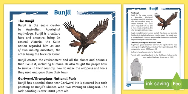 Eagle Facts For Kids Twinkl Homework Help Twinkl