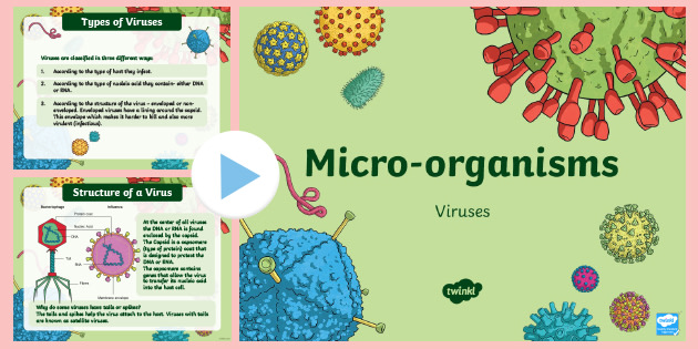 Viruses PowerPoint (teacher Made)