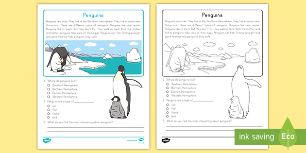 Kindergarten Penguins Reading Comprehension | Twinkl USA
