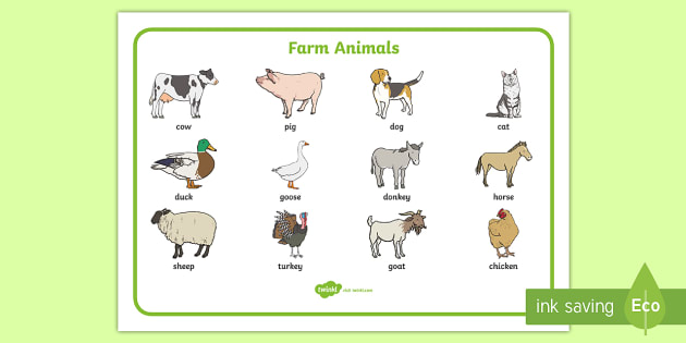 Farm Animals Word Mat | Primary (teacher made) - Twinkl