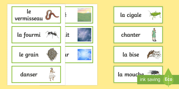La Cigale Et La Fourmi Word Cards Teacher Made