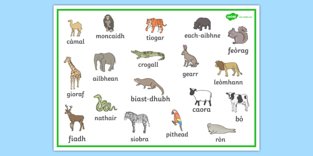 Scottish Gaelic Animal Word Mat - scottish gaelic, animal word