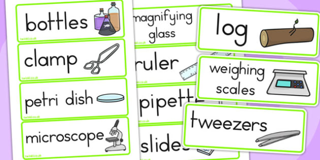 Minibeasts Investigation Word Cards