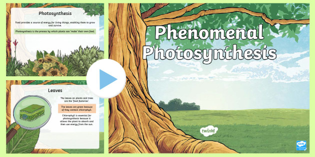 Photosynthesis PowerPoint