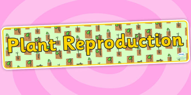 Free Plant Reproduction Display Banner Teacher Made