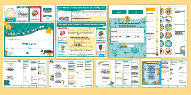 Y6 SATs Survival 'Greater Depth' Reading Booster Pack Week 3