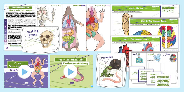 Trousse à dissection  Download Scientific Diagram