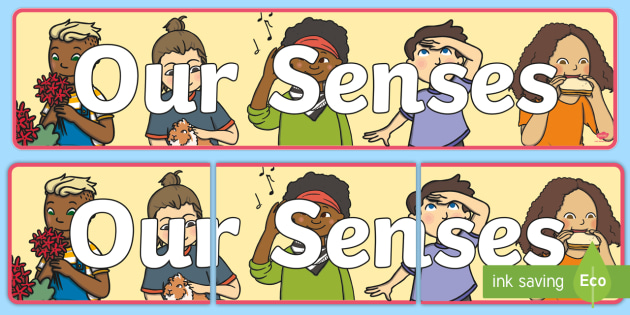 FREE! - Our Senses Display Banner (teacher made)