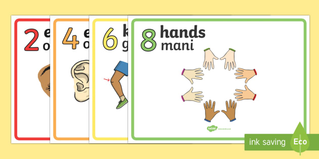 Body Parts Display Posters Counting in 2s - Body Parts Display Posters