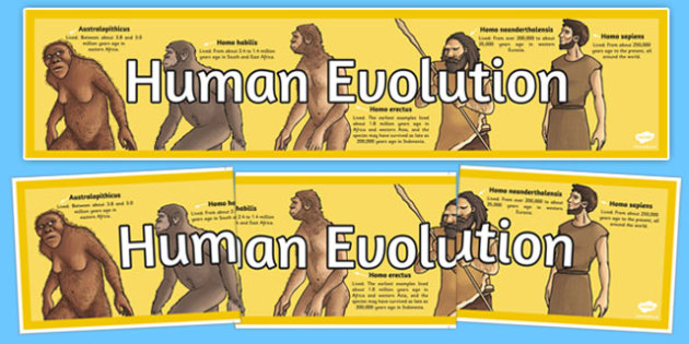 The emergence of humans - Understanding Evolution