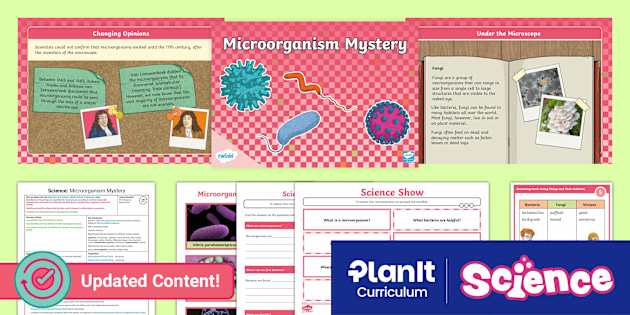 Science: Living Things and Their Habitats: Microorganism Mystery: Year 6 Lesson 5