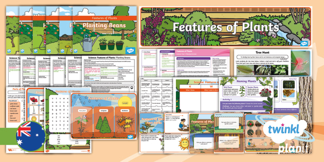 Year 1 Science Features of Plants Unit Pack (teacher made)