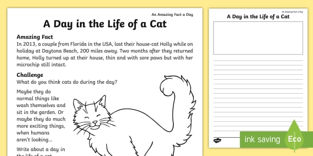 Cat Story Ideas Worksheet - Primary 