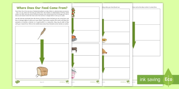 Where Does Food Come From Worksheet Answers