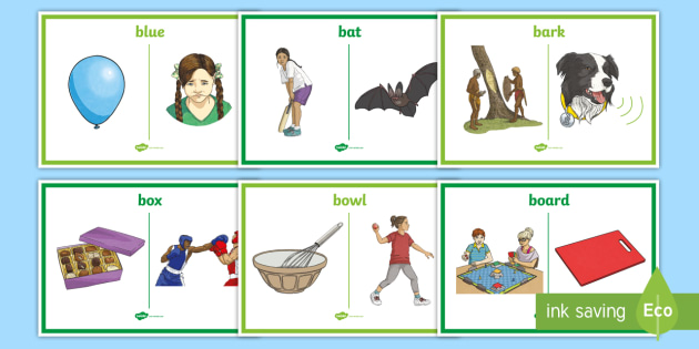 Homonyms Display Posters (teacher made)