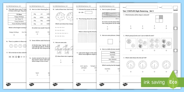 Naplan Year 3 Example Test