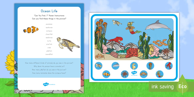 Ocean Life Can You Find? Picture Activity (teacher made)