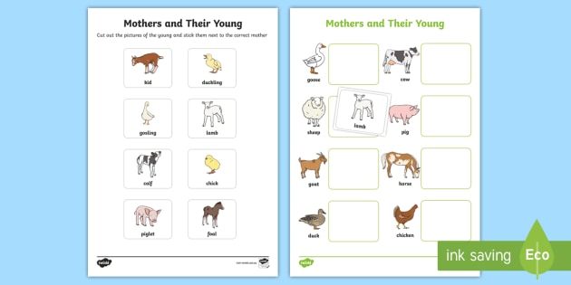 Mothers and their Young Farm Animals Match Activity - australia