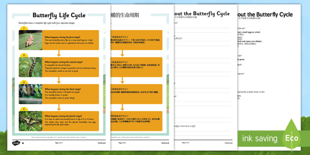 butterfly-life-cycle-differentiated-reading-comprehension-activity-mandarin