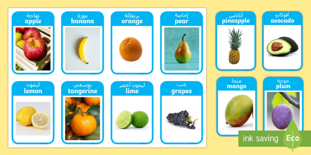 Fruit Photo Flashcards Arabic English Teacher Made
