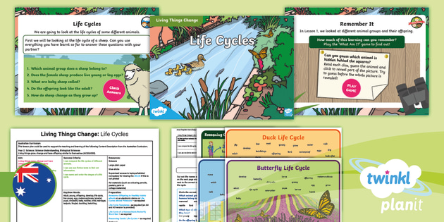 Year 2 Science Living Things Change Lesson 2