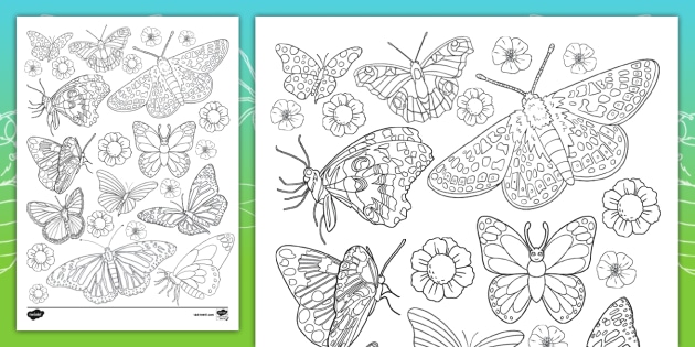 Butterfly Doodle Colouring Page - Twinkl - Minibeasts