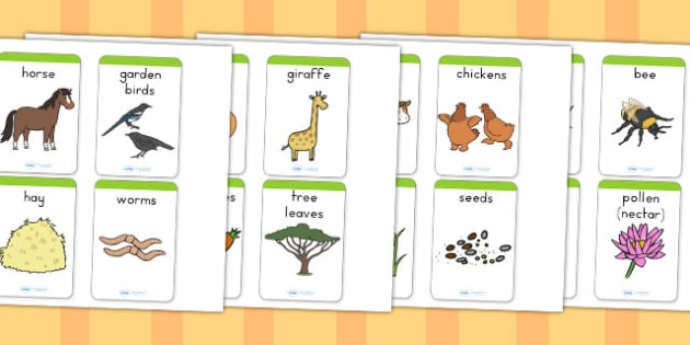 Animals and What They Eat Matching Cards (teacher made)