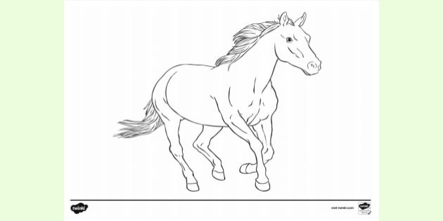 Horse Coloring Book : A Fun Horses and Ponies Beautiful Colouring